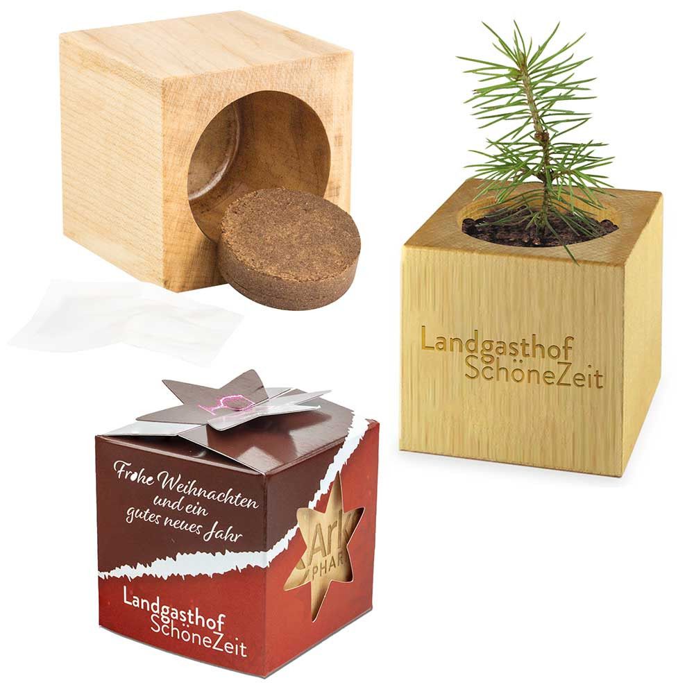 Pflanz-Holz Star-Box mit Samen - Fichte, 1 Seite gelasert-400