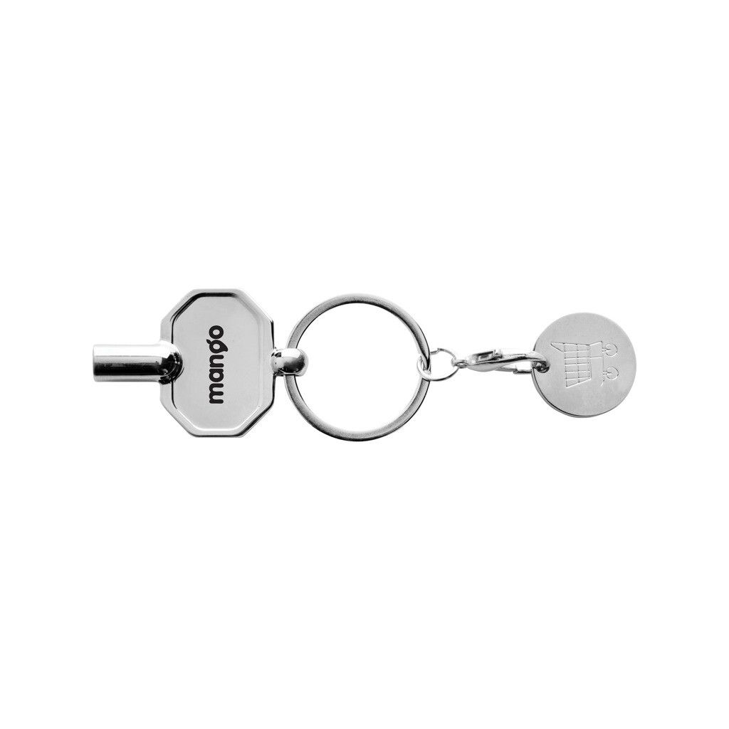 RCS Heizkörpschlüssel & Einkaufswagens-Chip am Schlüsselring - silber-613