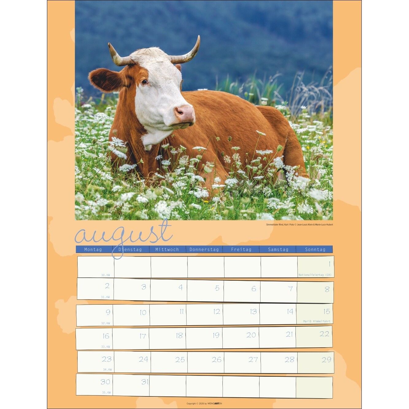 Kuh Kalender-656