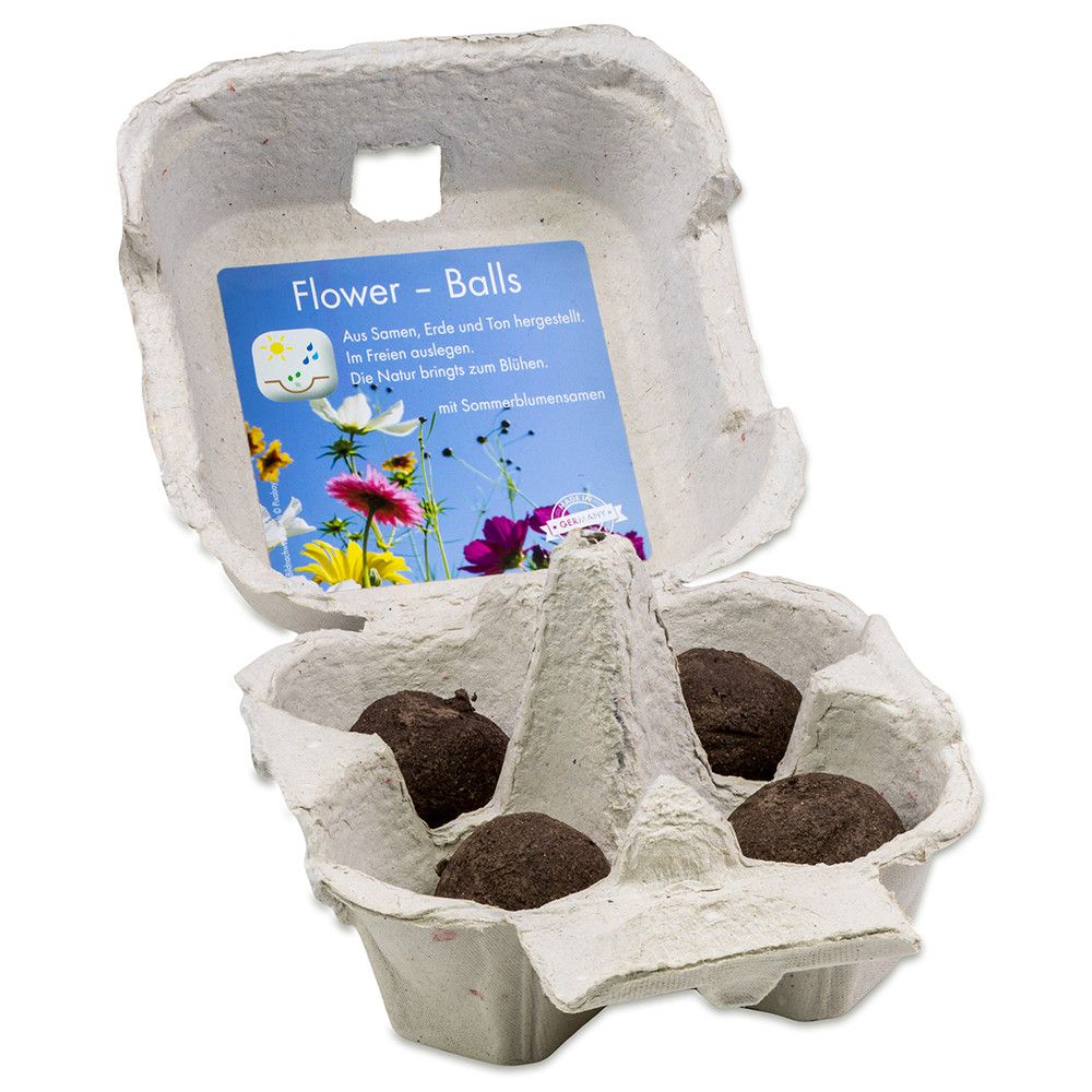Das Grüne vom Ei - Flower-Ball Box - Sommerblumenmischung-178