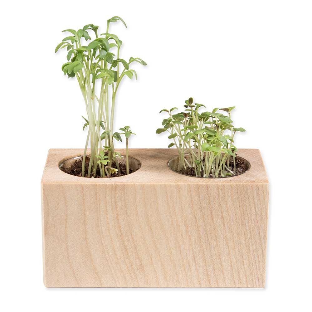 Pflanz-Holz 2er Set mit Samen - Sommerblumenmischung-492