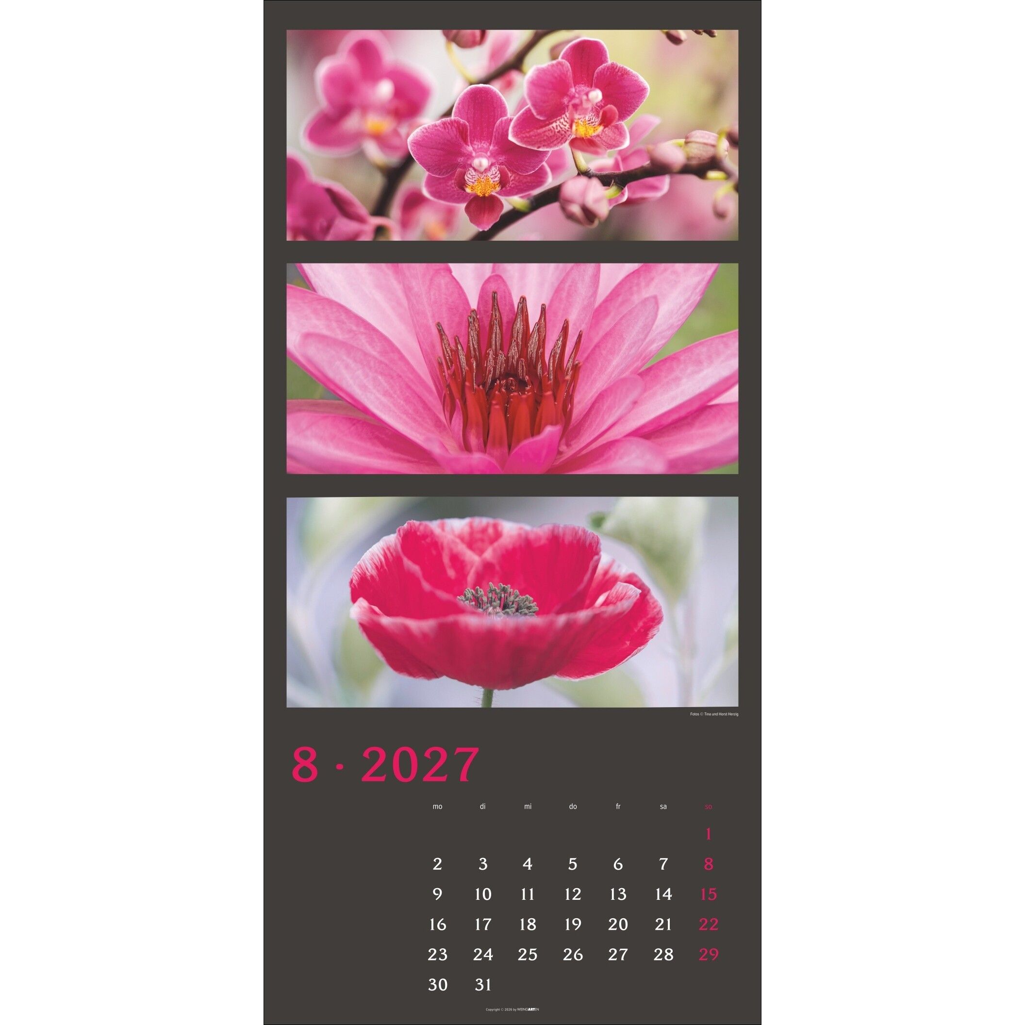 Die Farben der Natur - Landschaft & Natur Kalender-749