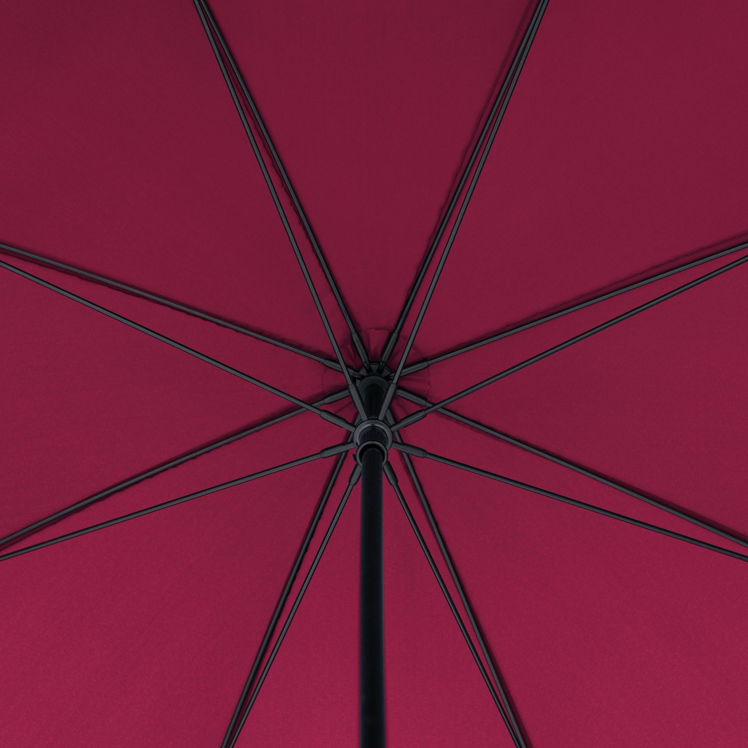 Stockschirm Zero Explore  - royal berry-909