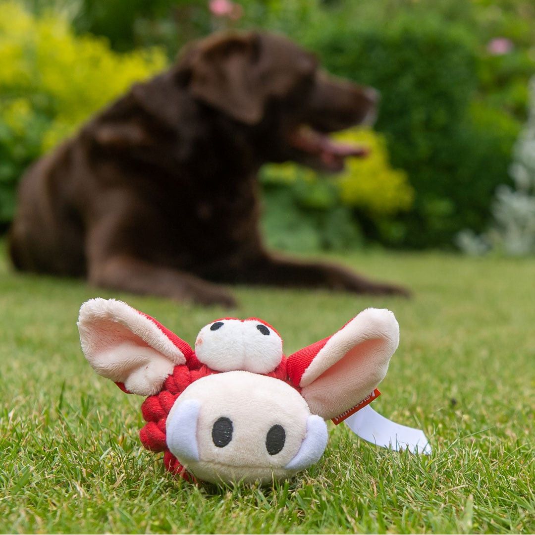 MiniFeet® Hundespielzeug Knotentier Wildschwein - rot-330