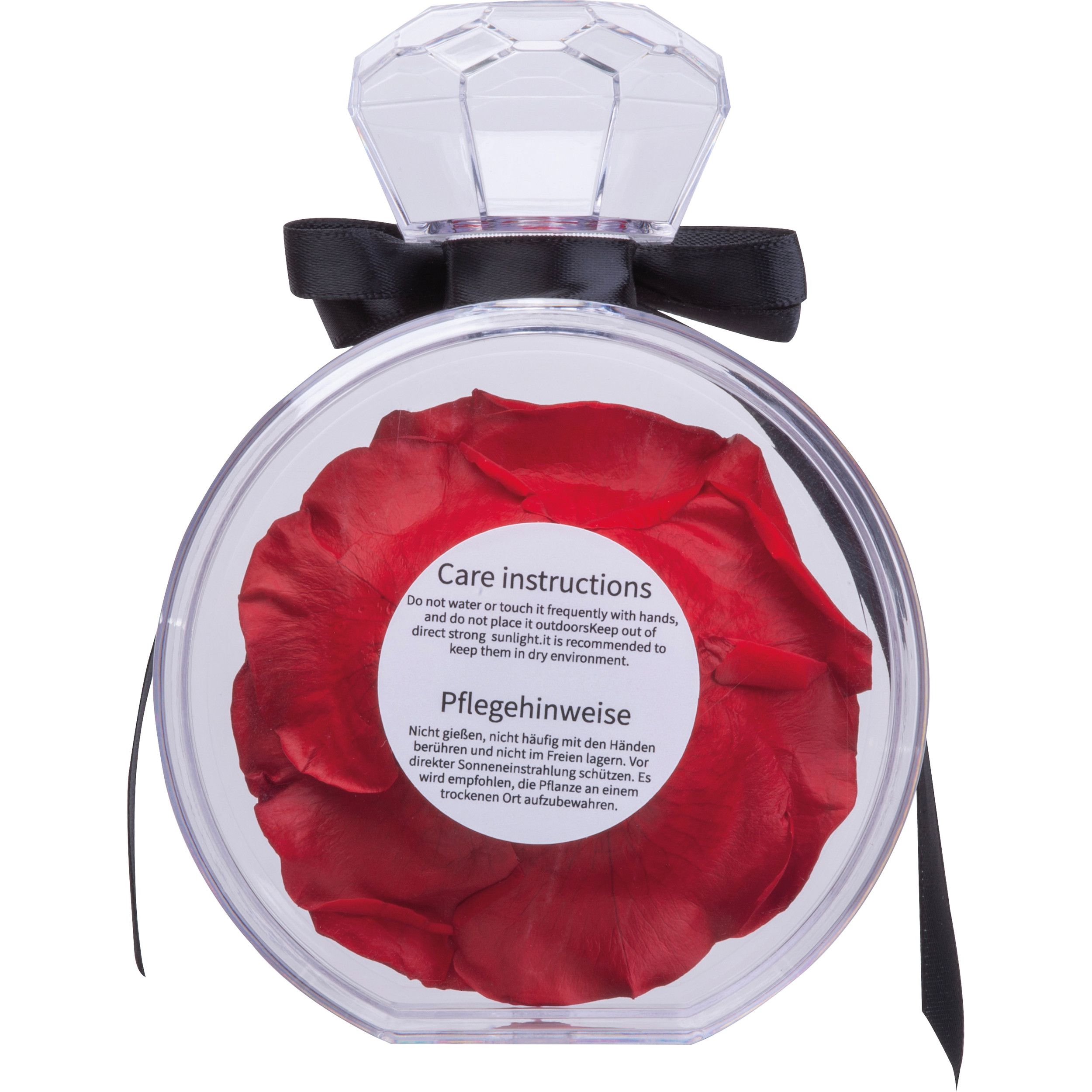 Konservierte Rose MARCELLA - rot-70