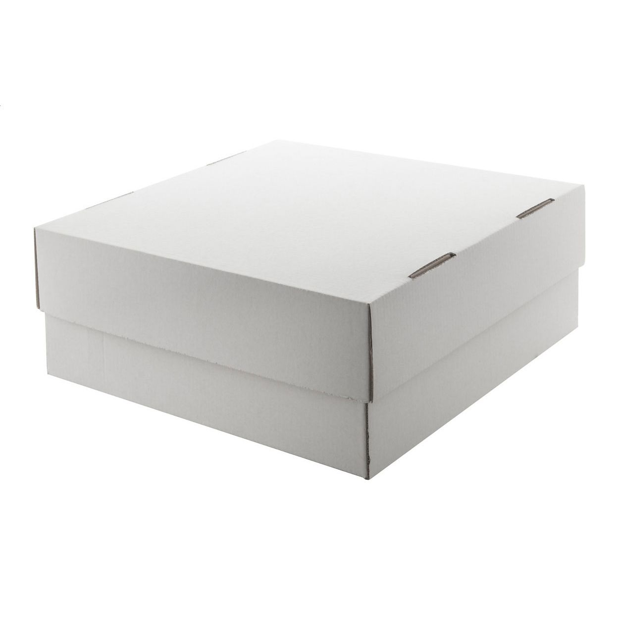 CreaBox Gift Box Plus L Geschenkbox - weiß-469