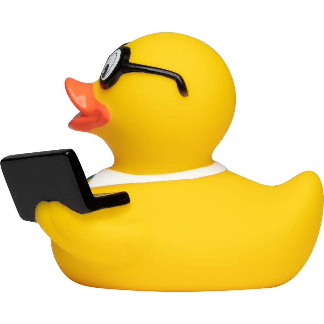 Quietsche-Ente Laptop - bunt-25