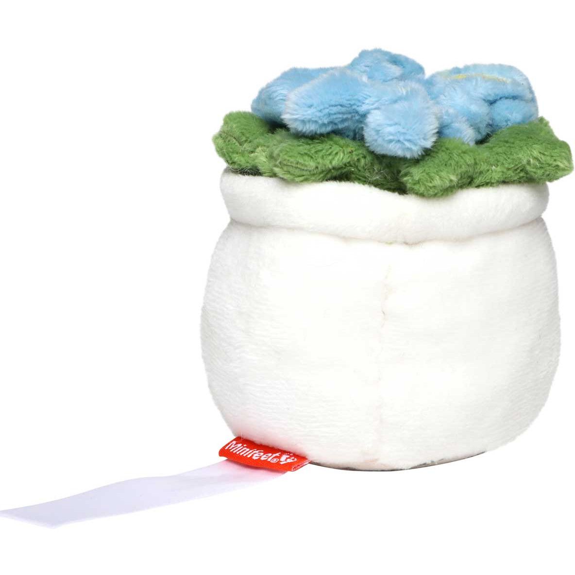 MiniFeet® Bildschirmreiniger Schmoozies® Evergreenies® Vergissmeinnicht - bunt-628