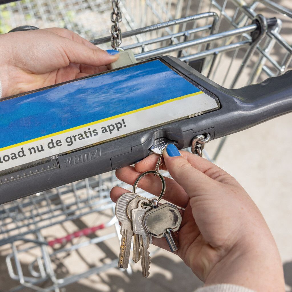 RCS Heizkörpschlüssel & Einkaufswagens-Chip am Schlüsselring - silber-701
