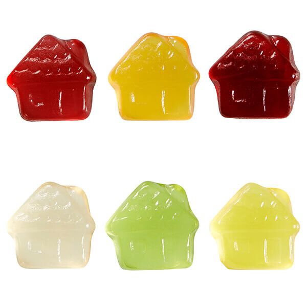 Fruchtgummi 15g Tüten - Haus-459