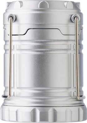 Veredelungsposition Rückseite