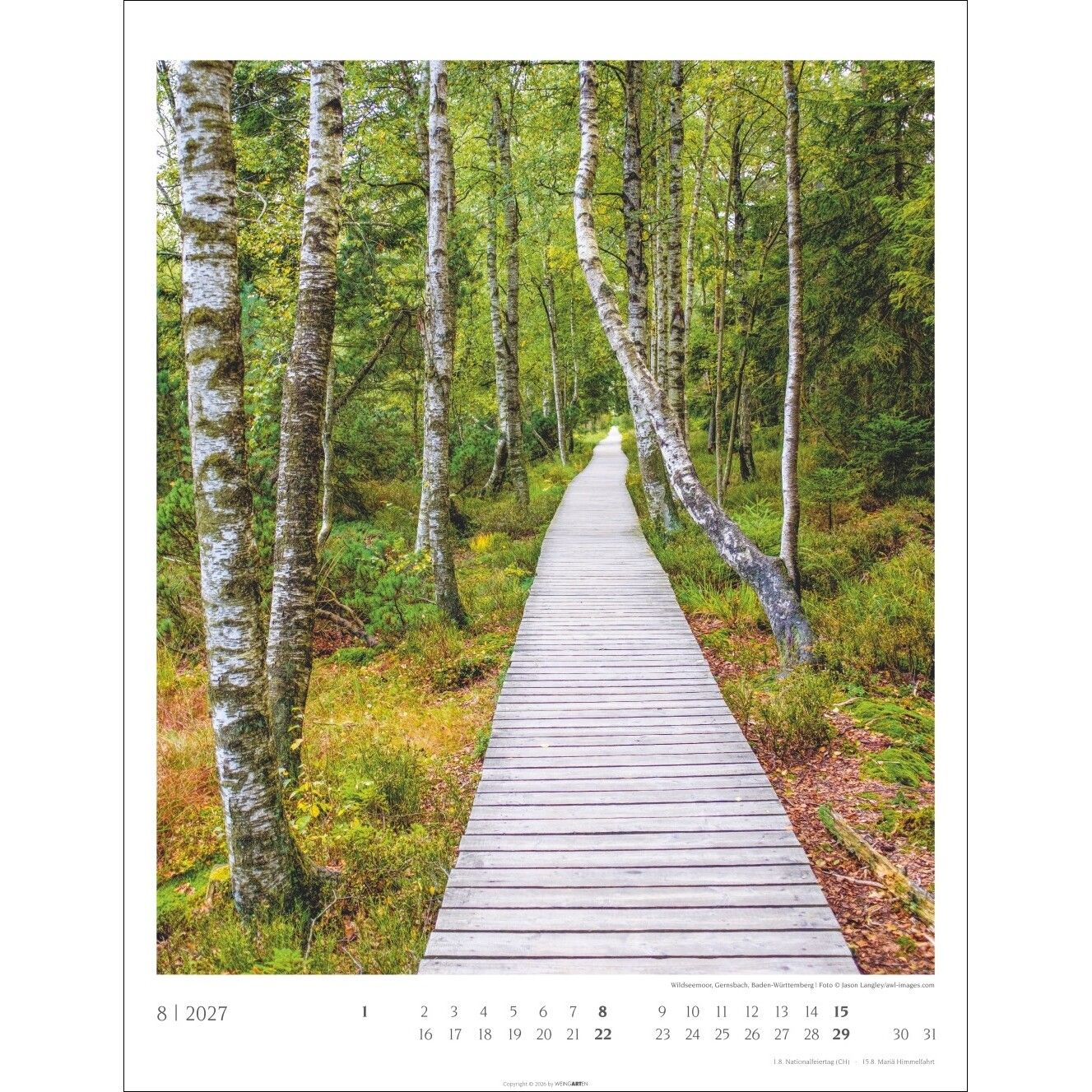 Heimische Wälder - Landschaft & Natur Kalender-762