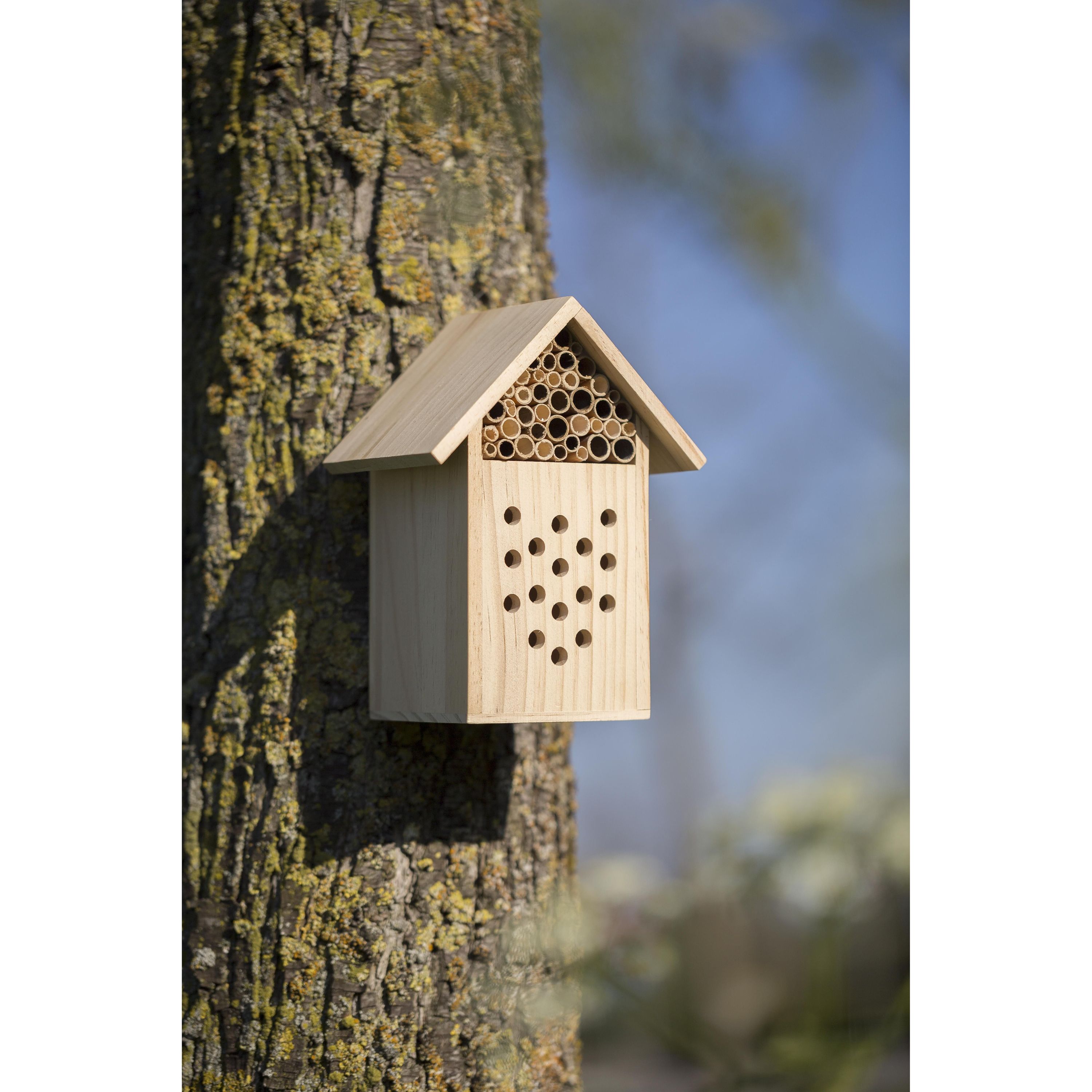 Bienenhaus aus Holz Fahim - braun-686