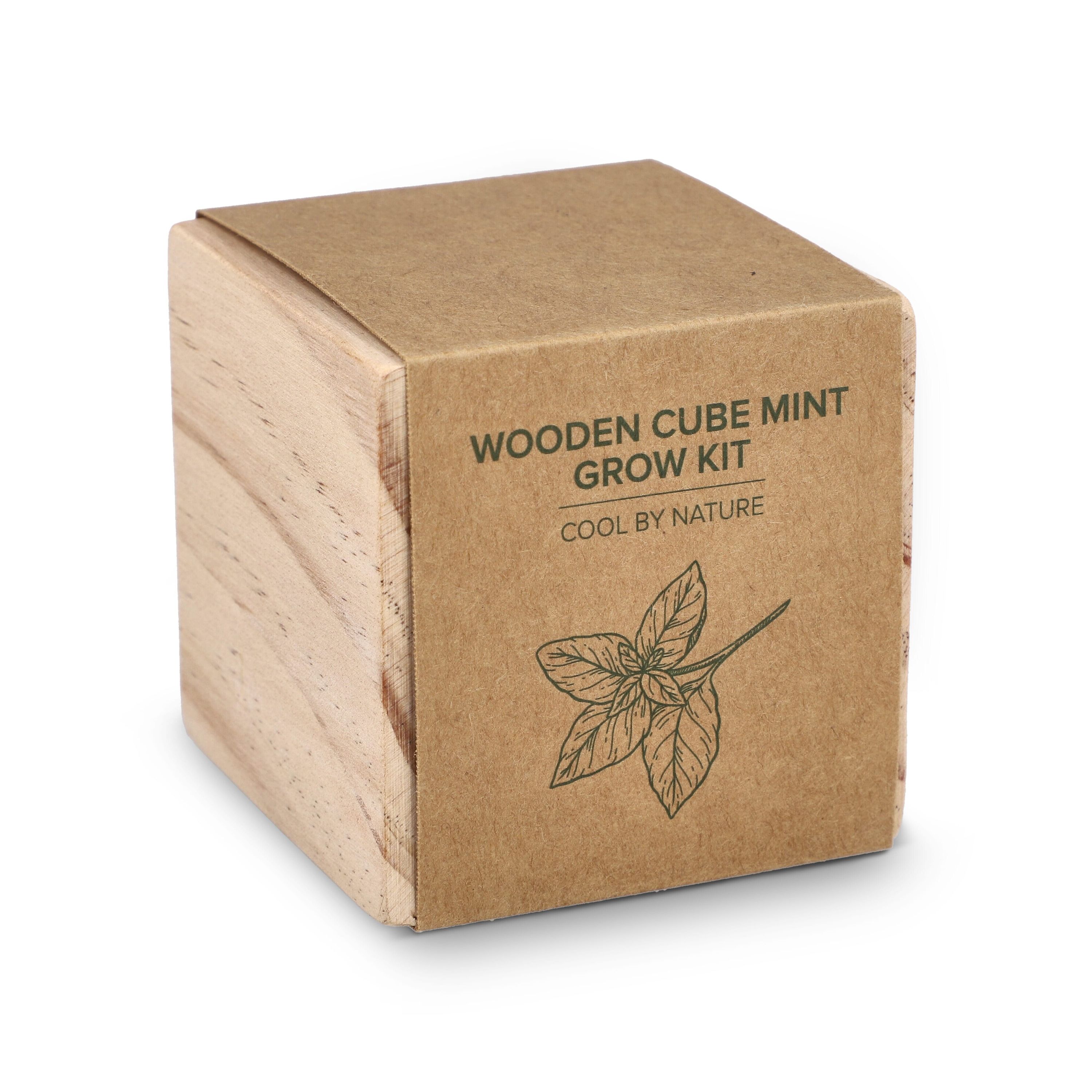 FSC-Holzpflanzgefäß-Set – Mint - natur-757