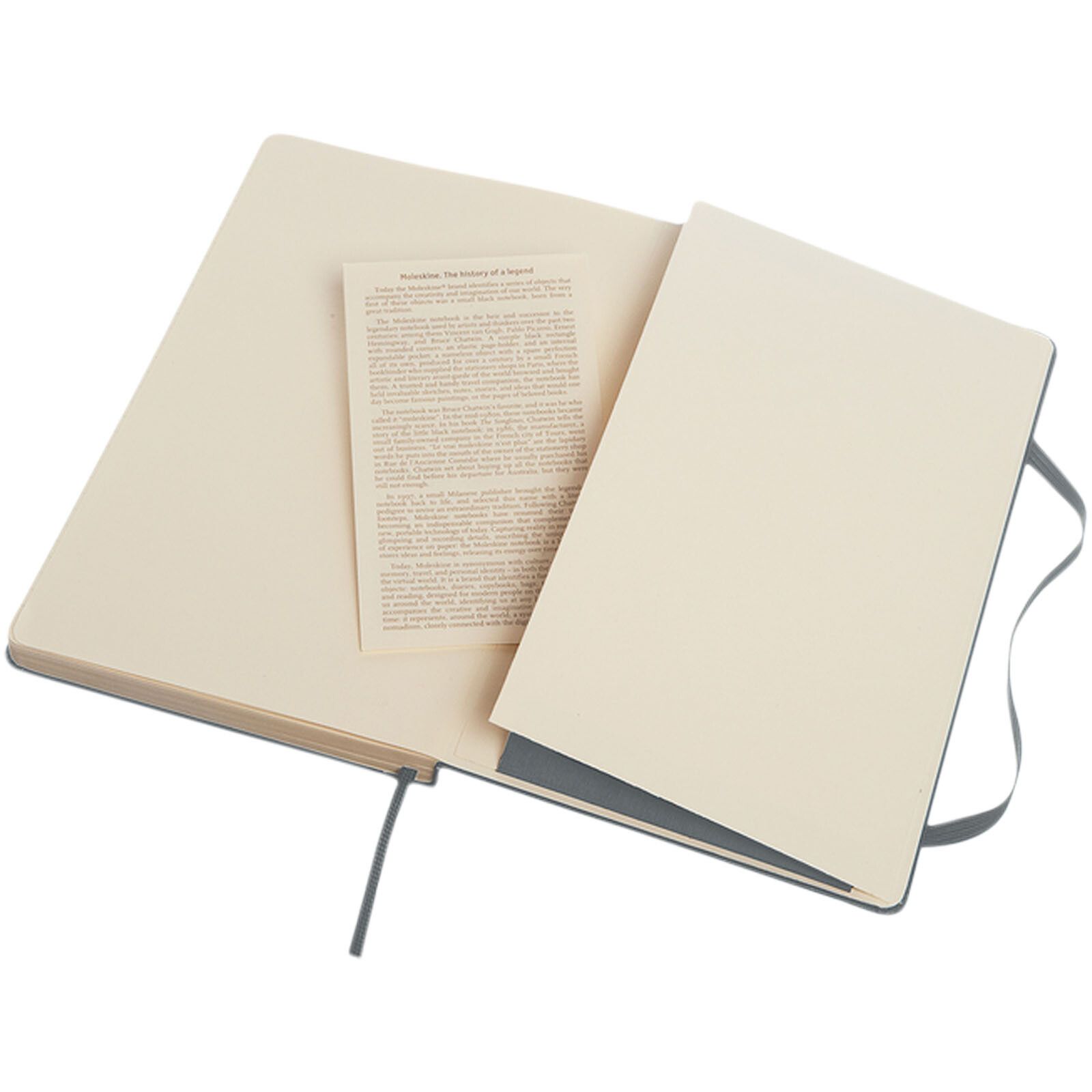 Moleskine Classic Hardcover Notizbuch L – liniert - schiefergrau-348