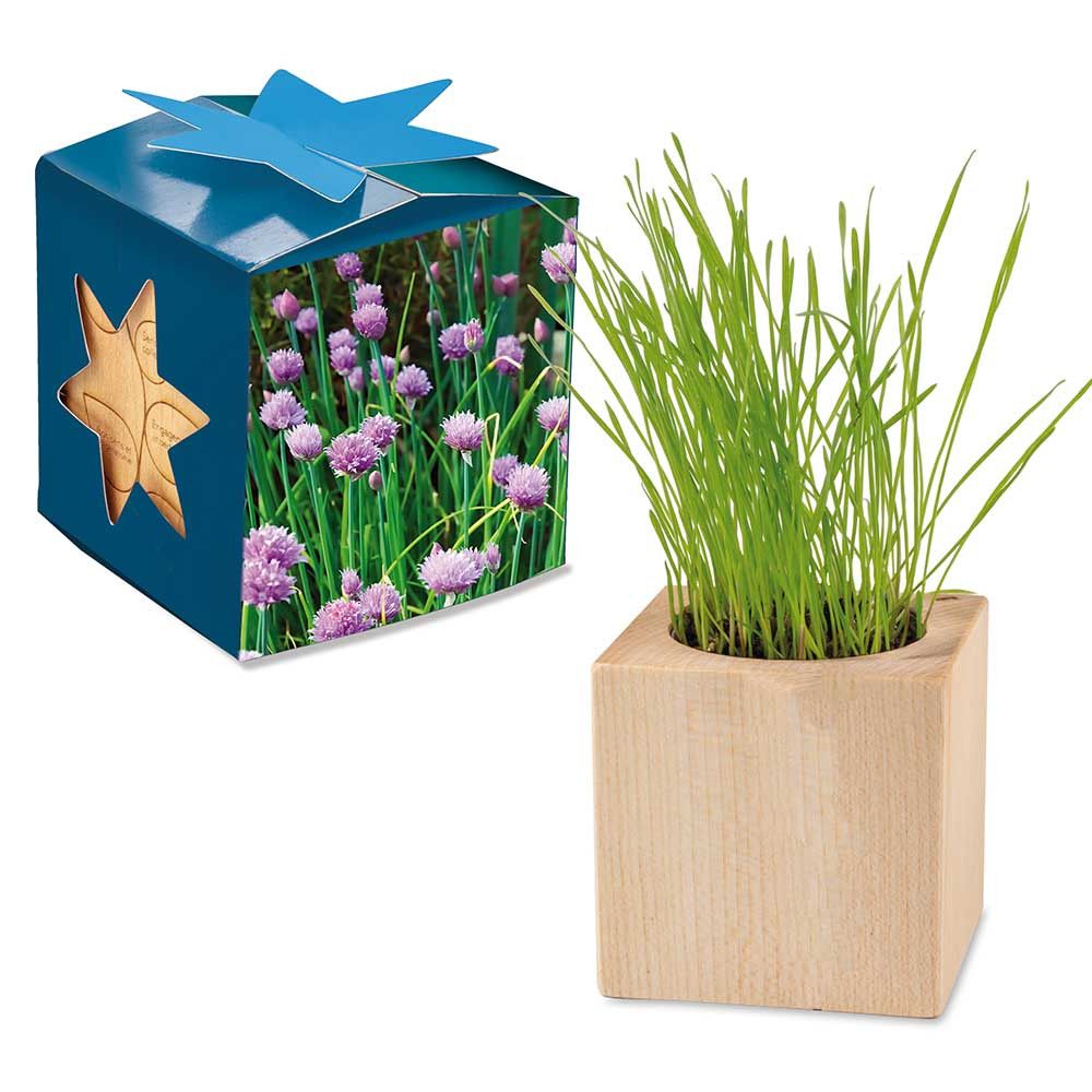 Pflanz-Holz Maxi Star-Box mit Samen - Schnittlauch, 1 Seite gelasert-676