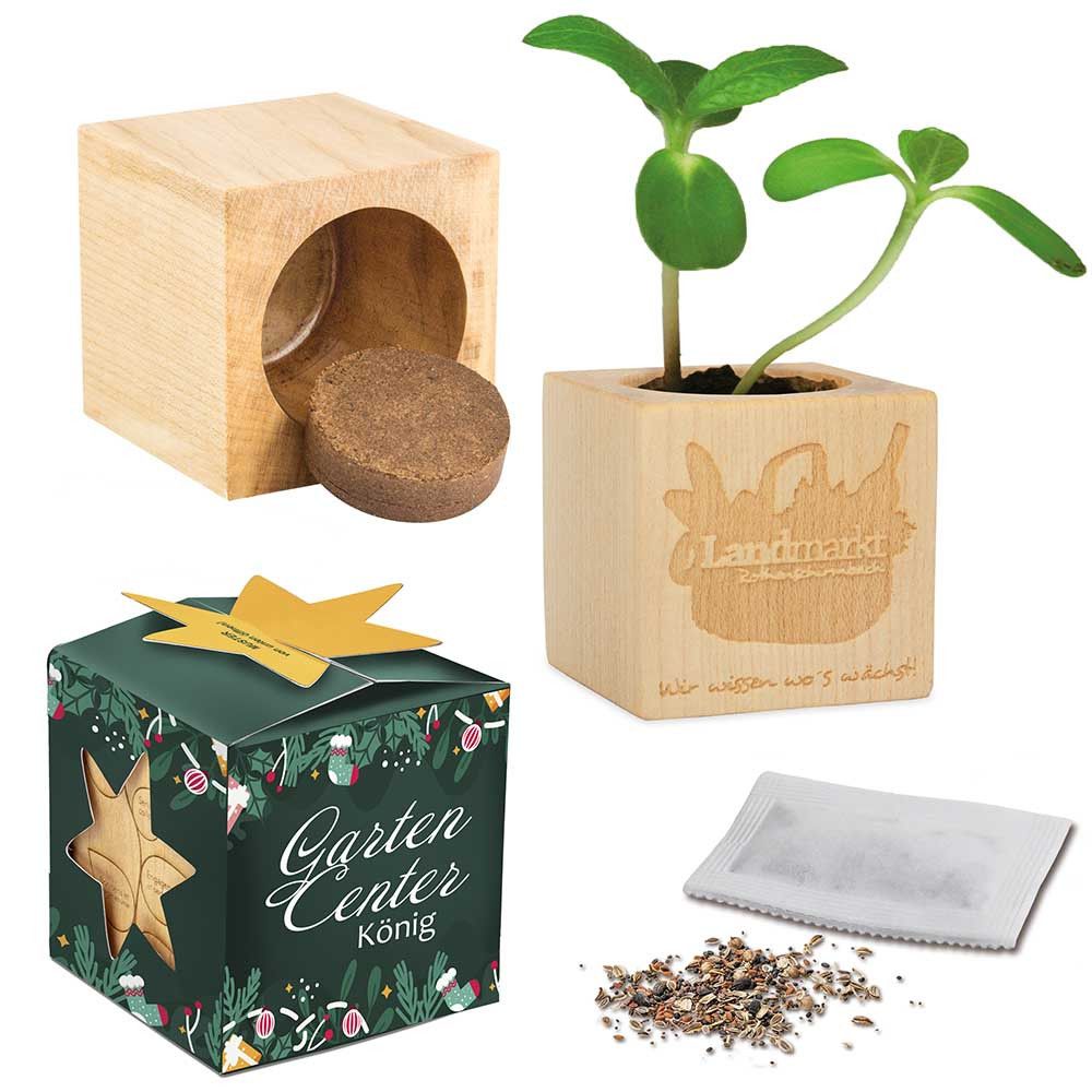 Pflanz-Holz Maxi Star-Box mit Samen - Schnittlauch, 1 Seite gelasert-319