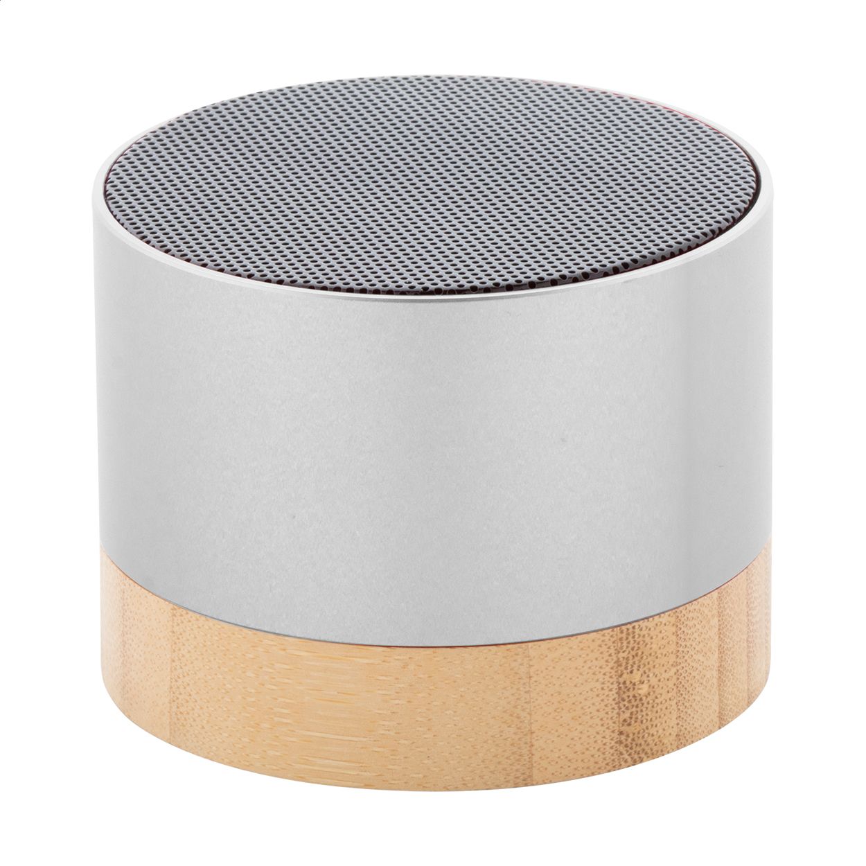 RalooBeat kabelloser Lautsprecher - silber-848