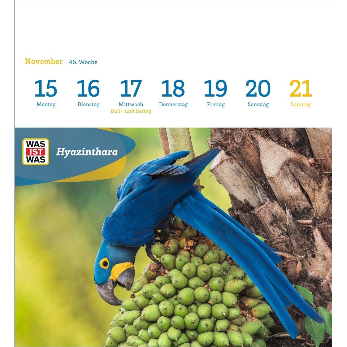 WAS IST WAS Geniale Tiere Postkartenkalender-198