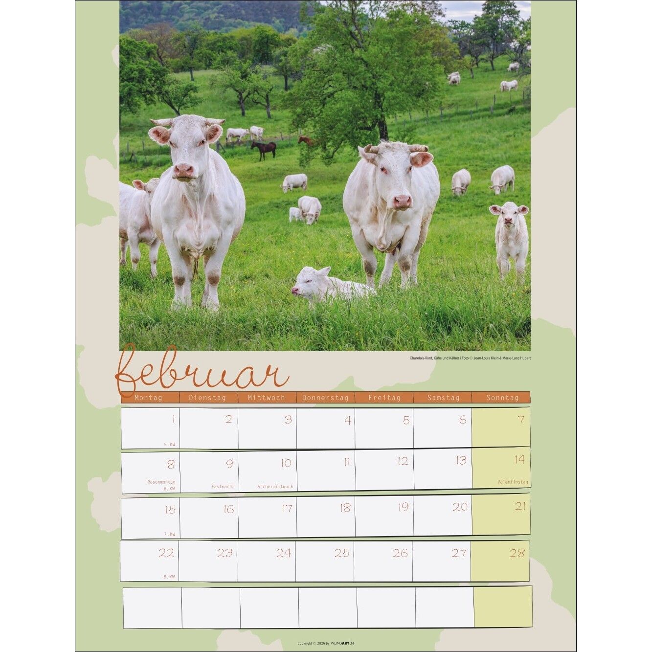 Kuh Kalender-385