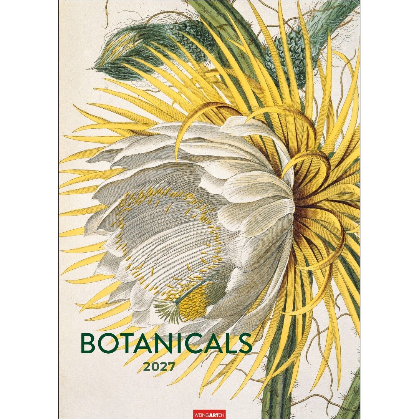 Botanicals - Kunst & Kultur Kalender-645