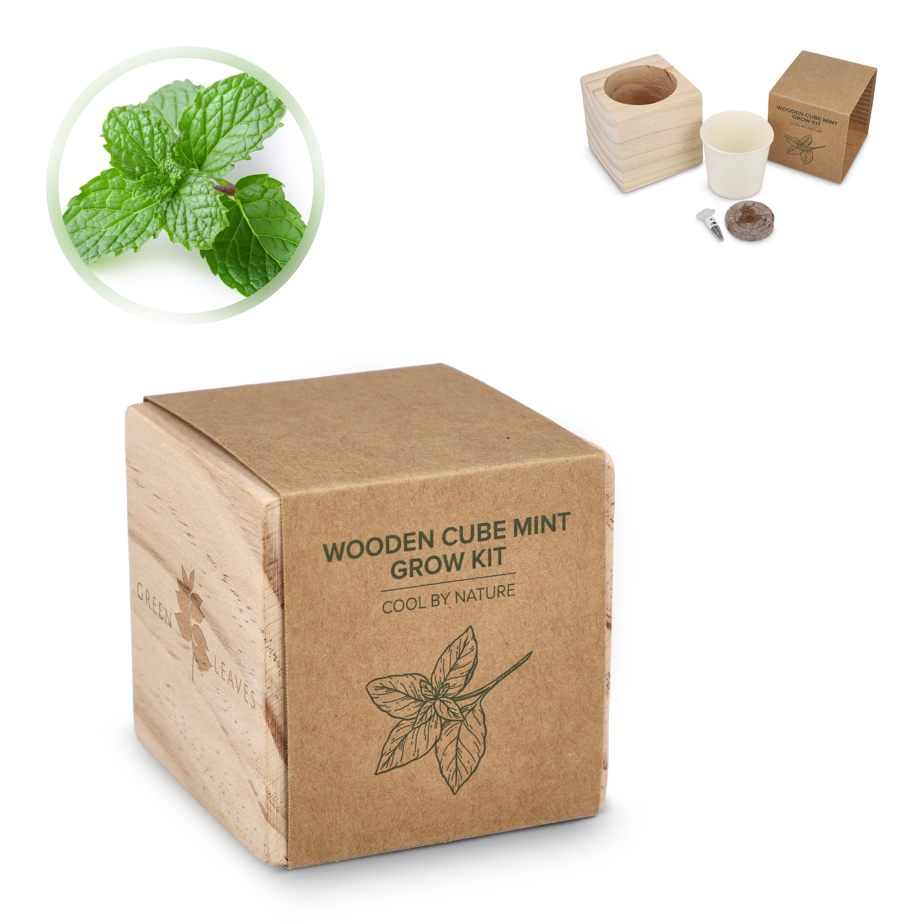 FSC-Holzpflanzgefäß-Set – Mint - natur-776