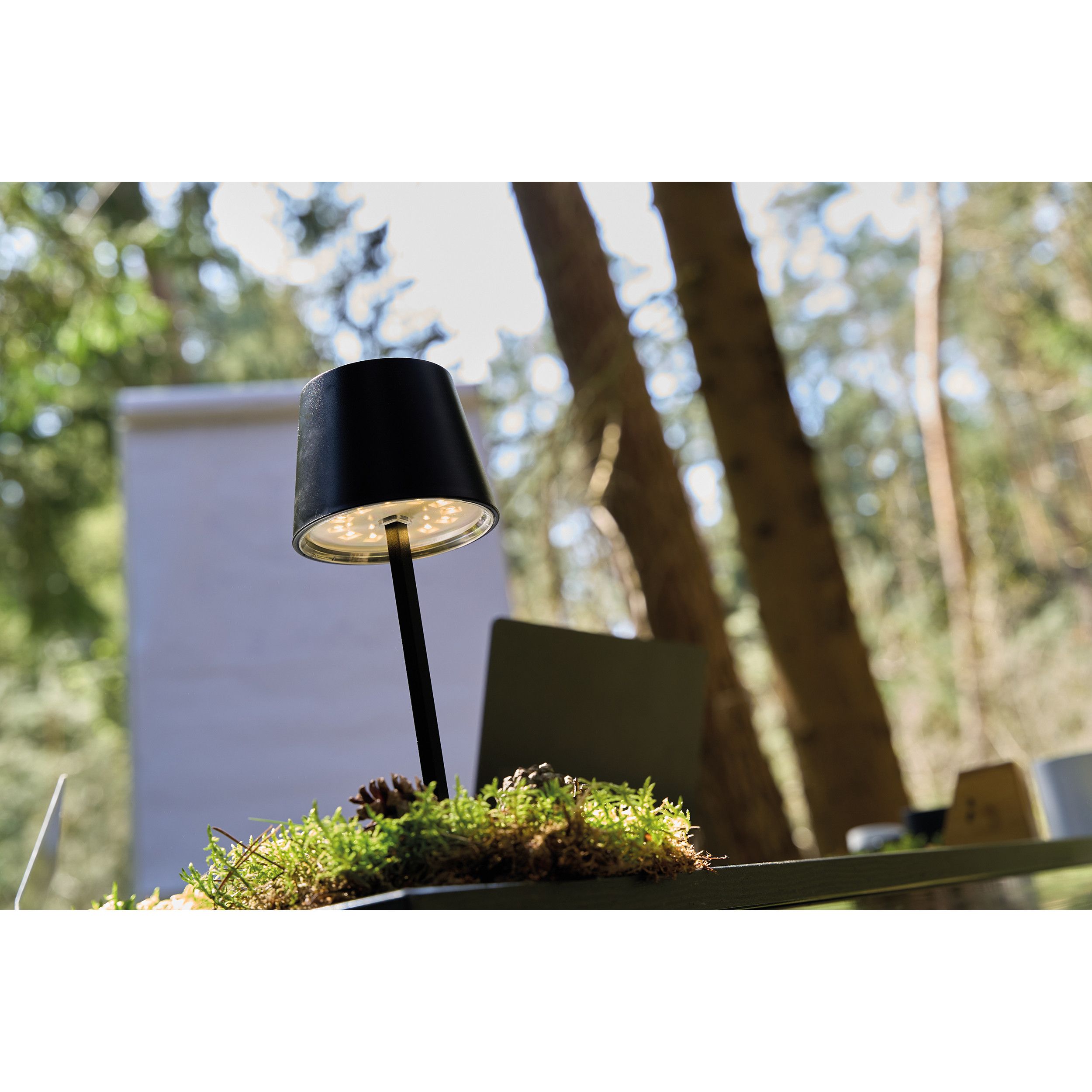 Tischlampe Montes Claros - schwarz-834