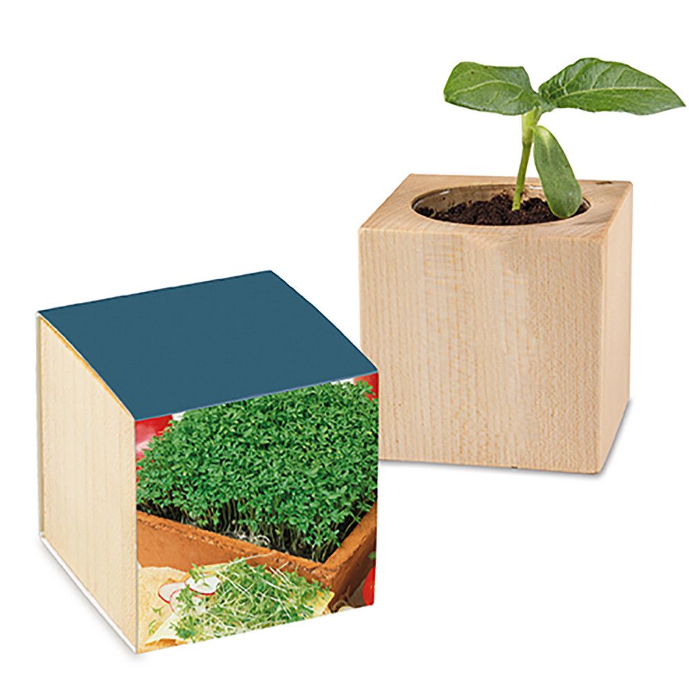 Pflanz-Holz mit Samen - Gartenkresse, 1 Seite gelasert-698
