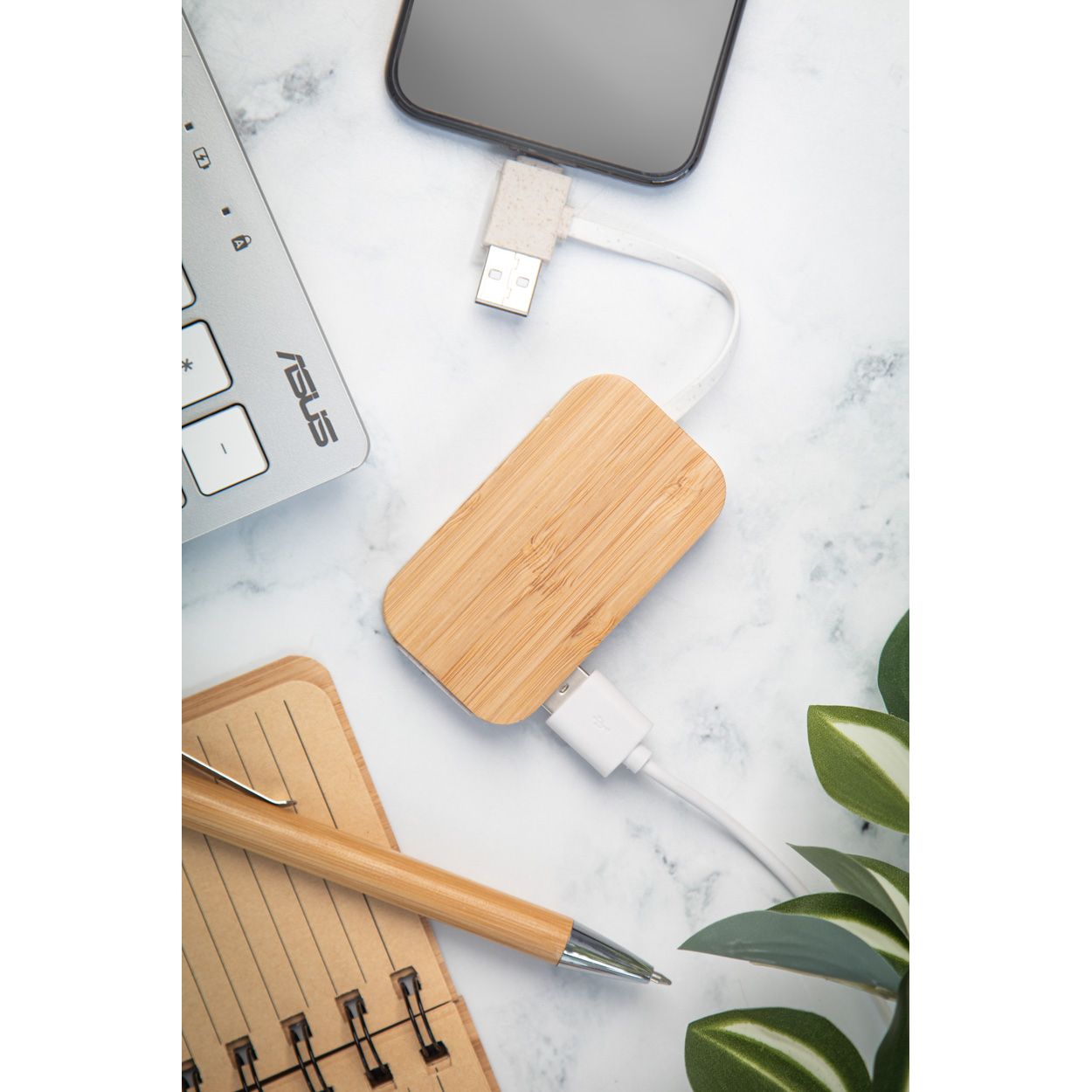 USB Hub Holbaru - natur-934