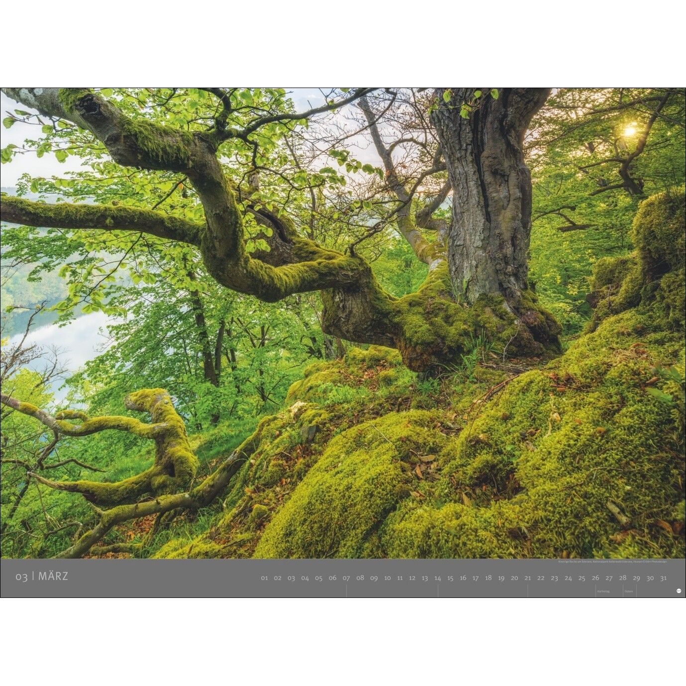 AvH Deutsche Nationalparks - Landschaft & Natur Kalender-672