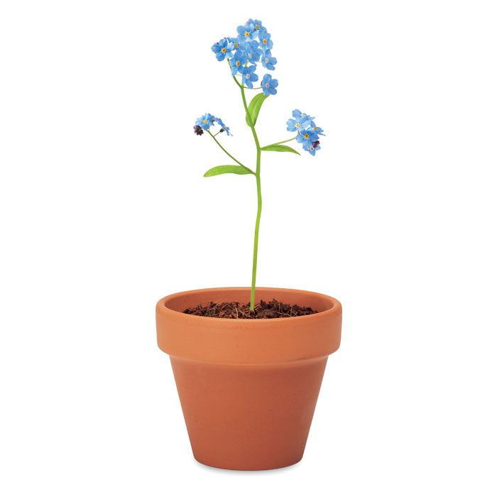 Terracotta-Topf Vergissmeinnich FORGET ME NOT - holz-346