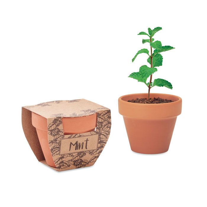 Terrakotta-Topf Minze MINT POT - holz-595