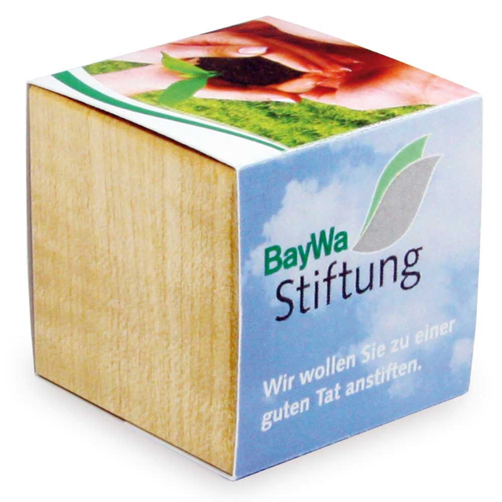 Pflanz-Holz Magnet mit Samen - Basilikum, 2 Seiten gelasert-291