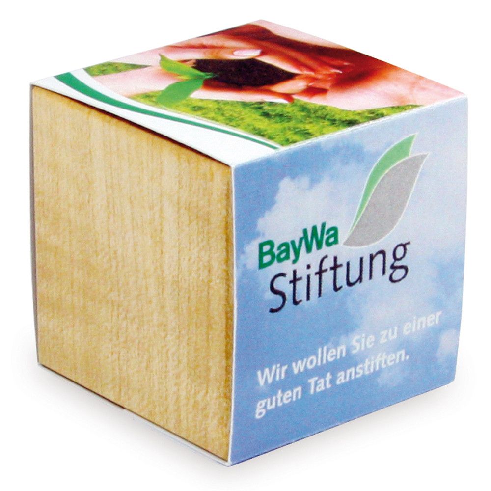 Pflanz-Holz Magnet mit Samen - Basilikum, 2 Seiten gelasert-291
