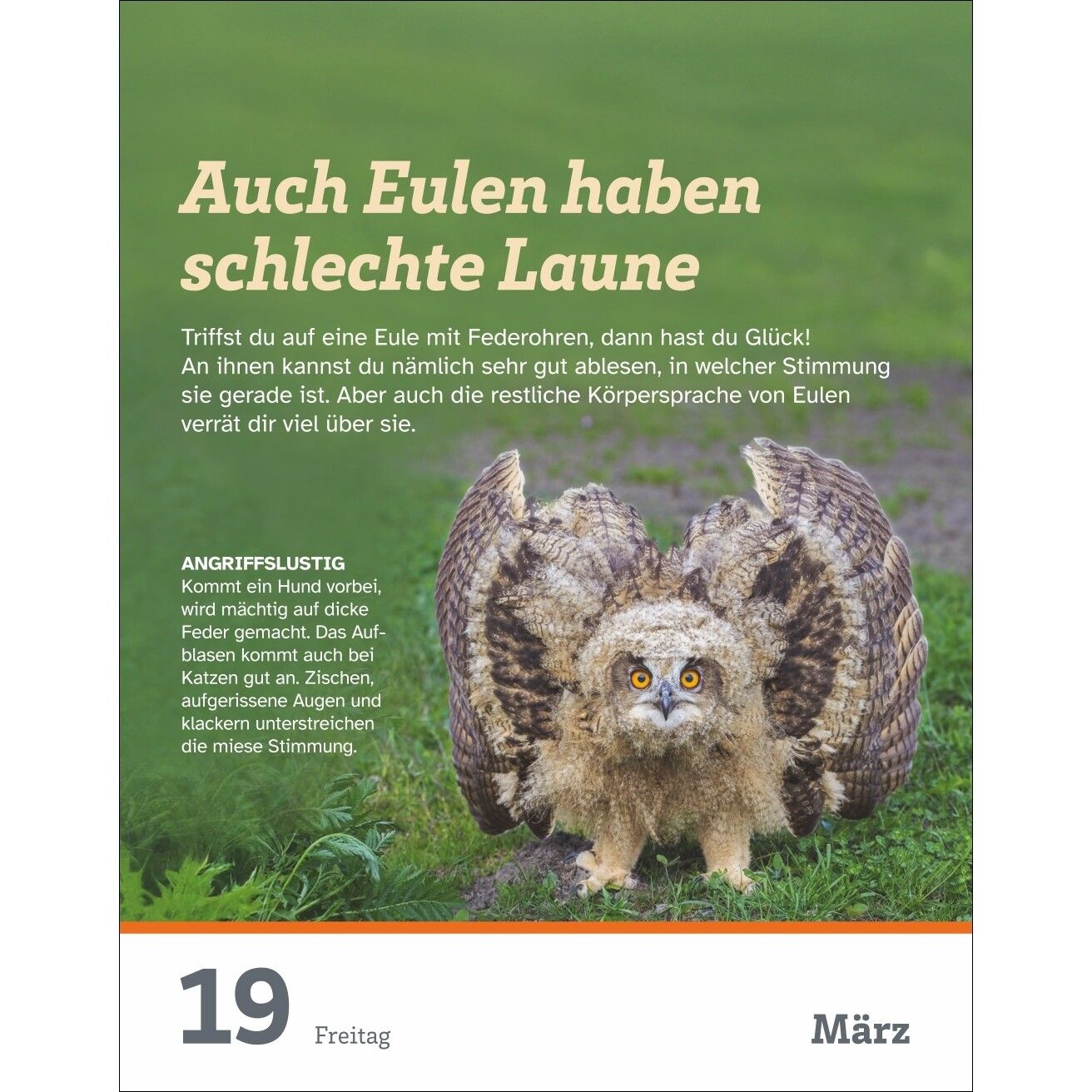 WAS IST WAS Der Kalender Tagesabreißkalender-776