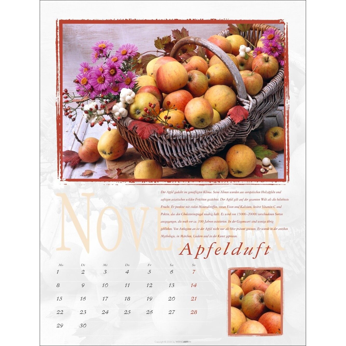 Duftkalender-596