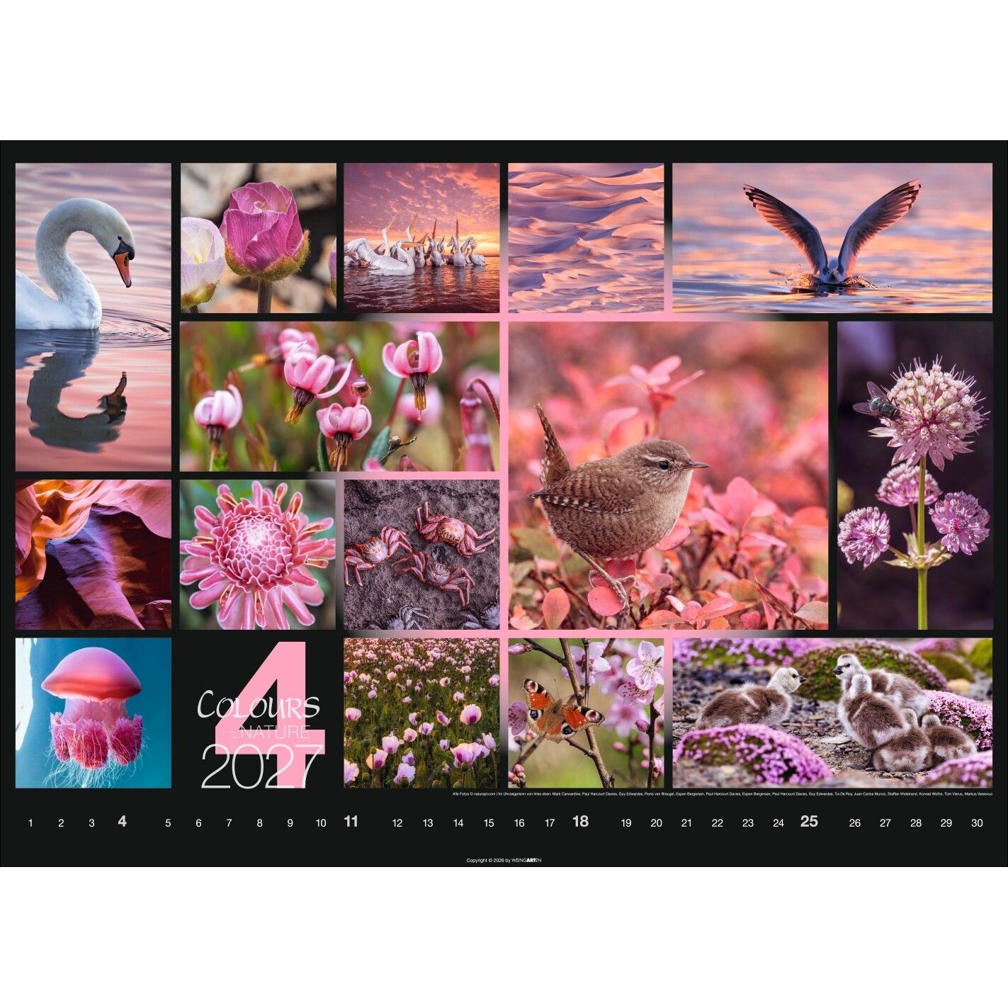 Colours of Nature - Landschaft & Natur Kalender-44