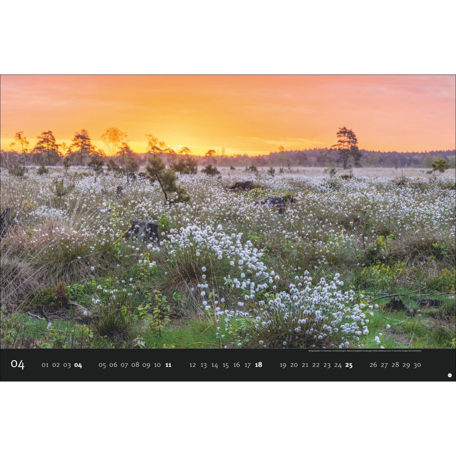 AvH Deutschlands Naturparadiese - Landschaft & Natur Kalender-994