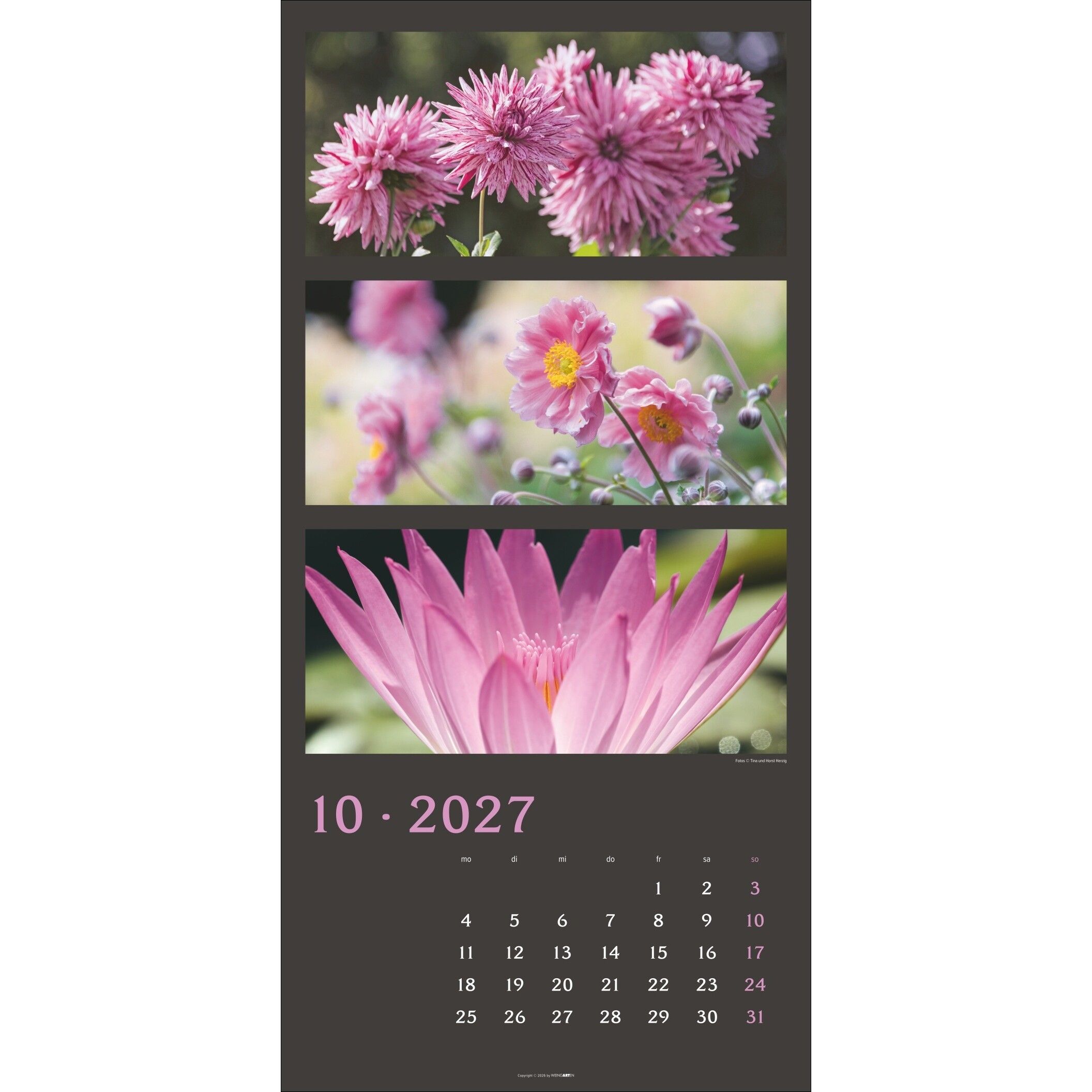 Die Farben der Natur - Landschaft & Natur Kalender-967