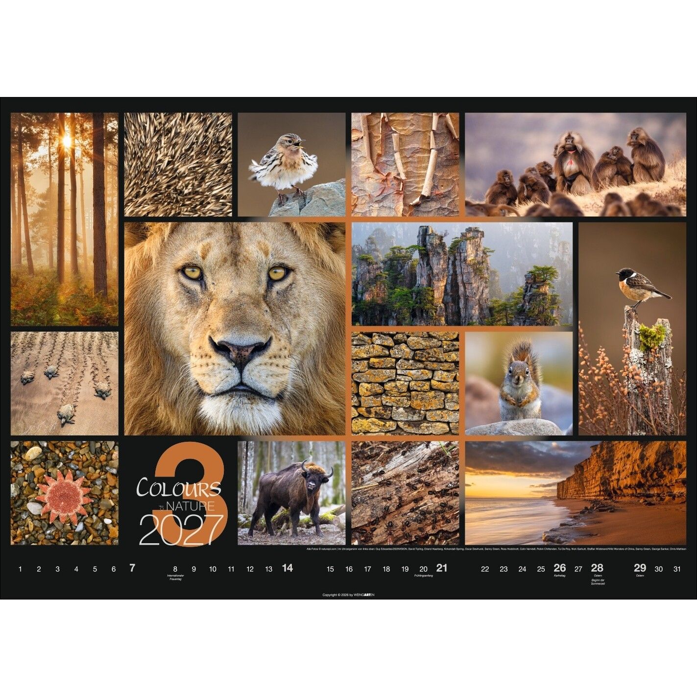 Colours of Nature - Landschaft & Natur Kalender-892
