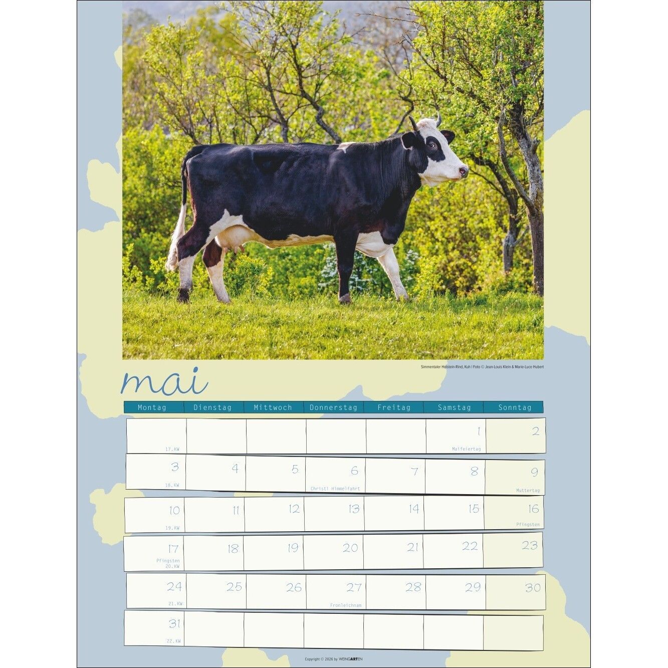 Kuh Kalender-854