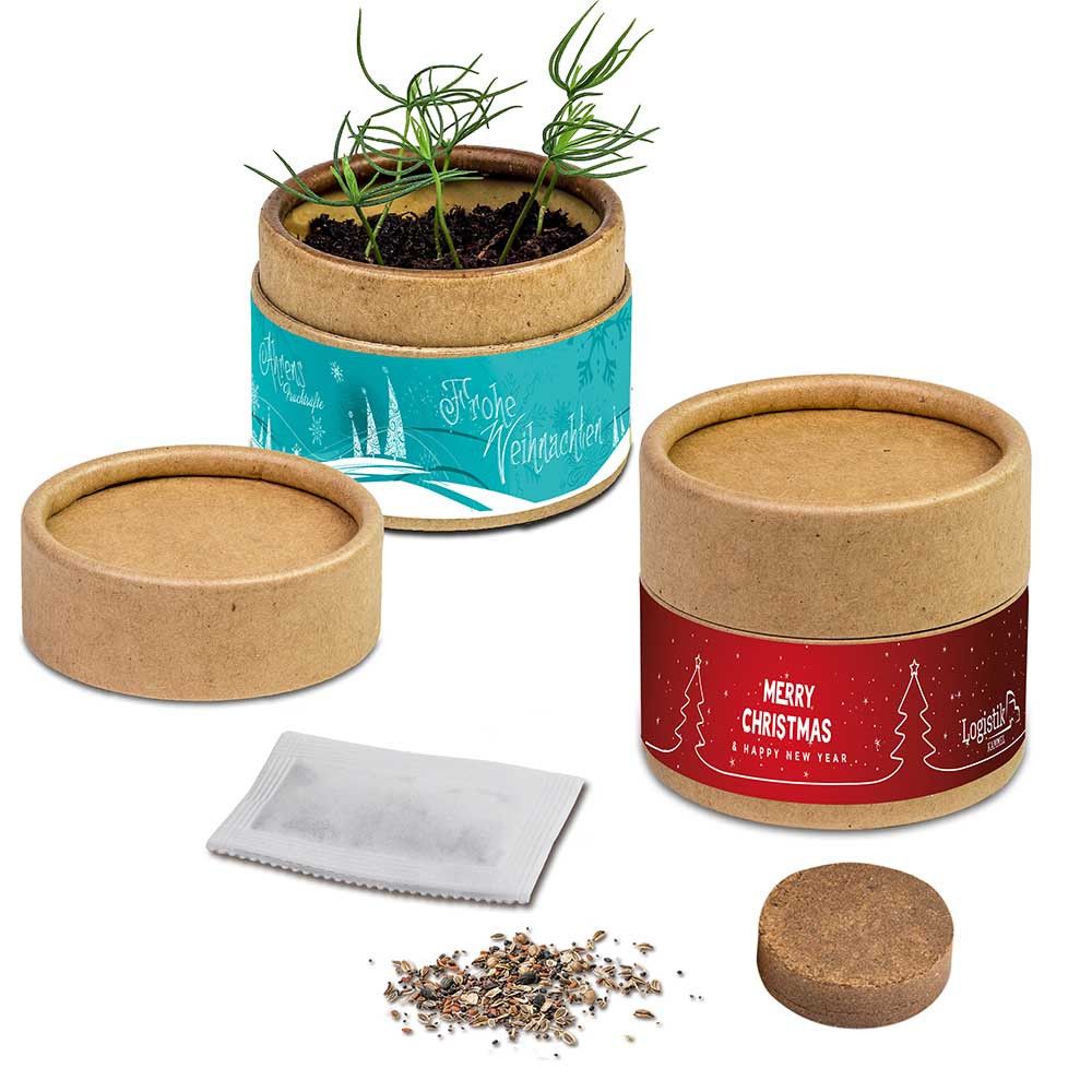Pflanz-Cup mit Samen - Weihnachten - Glücksklee-Zwiebeln (* Je nach Verfügbarkeit der Glücksklee-Zwiebeln)-329