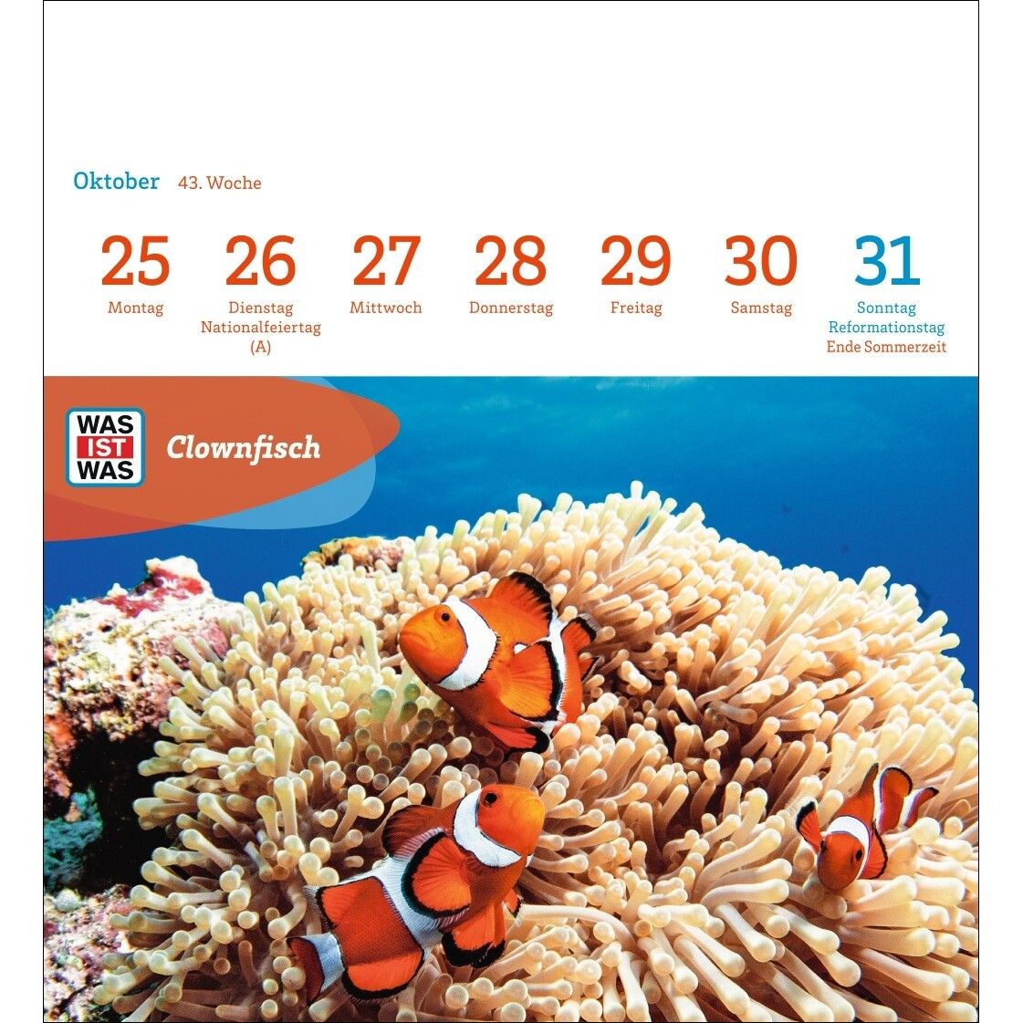 WAS IST WAS Geniale Tiere Postkartenkalender-657