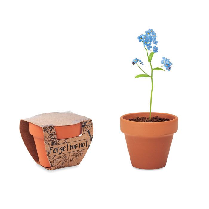 Terracotta-Topf Vergissmeinnich FORGET ME NOT - holz-349