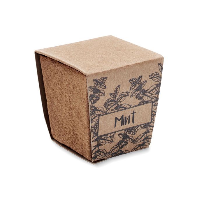 Pflanz-Set Minze MINT KIT - beige-362