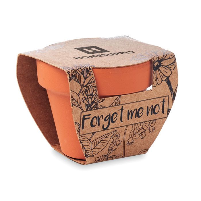 Terracotta-Topf Vergissmeinnich FORGET ME NOT - holz-78