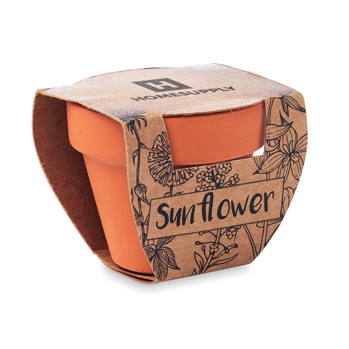 Terracotta-Topf Sonnenblume SUNFLOWER - holz-100