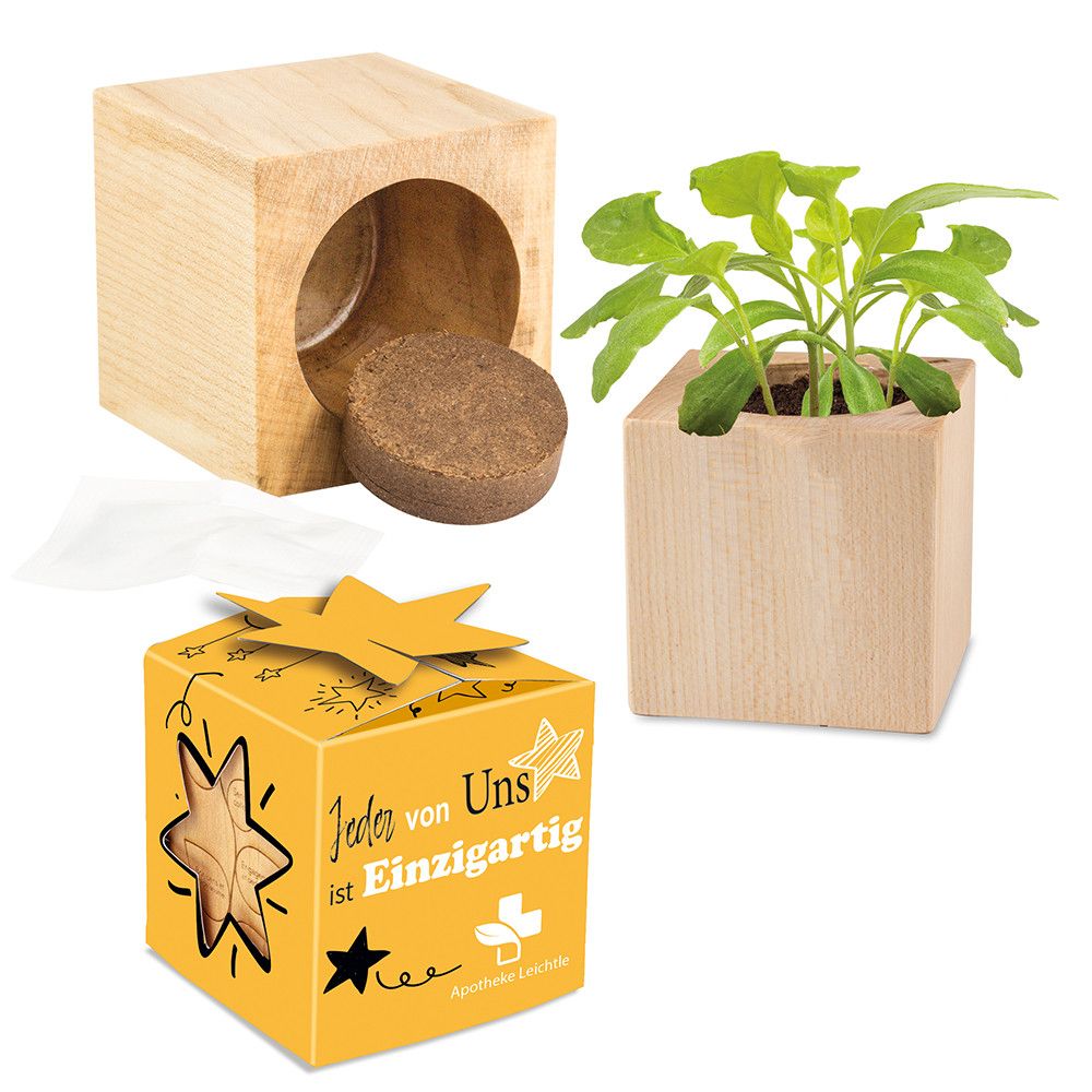 Pflanz-Holz Star-Box mit Samen - Kräutermischung, 1 Seite gelasert-216