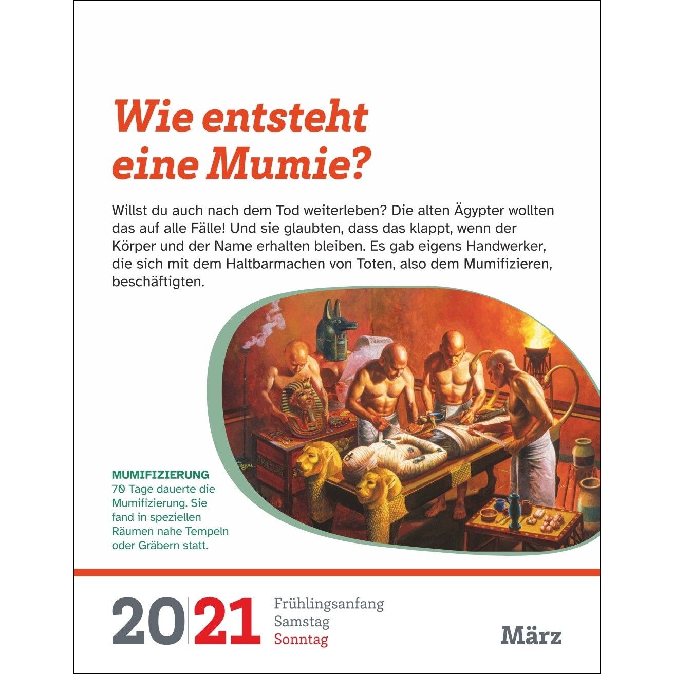 WAS IST WAS Der Kalender Tagesabreißkalender-264