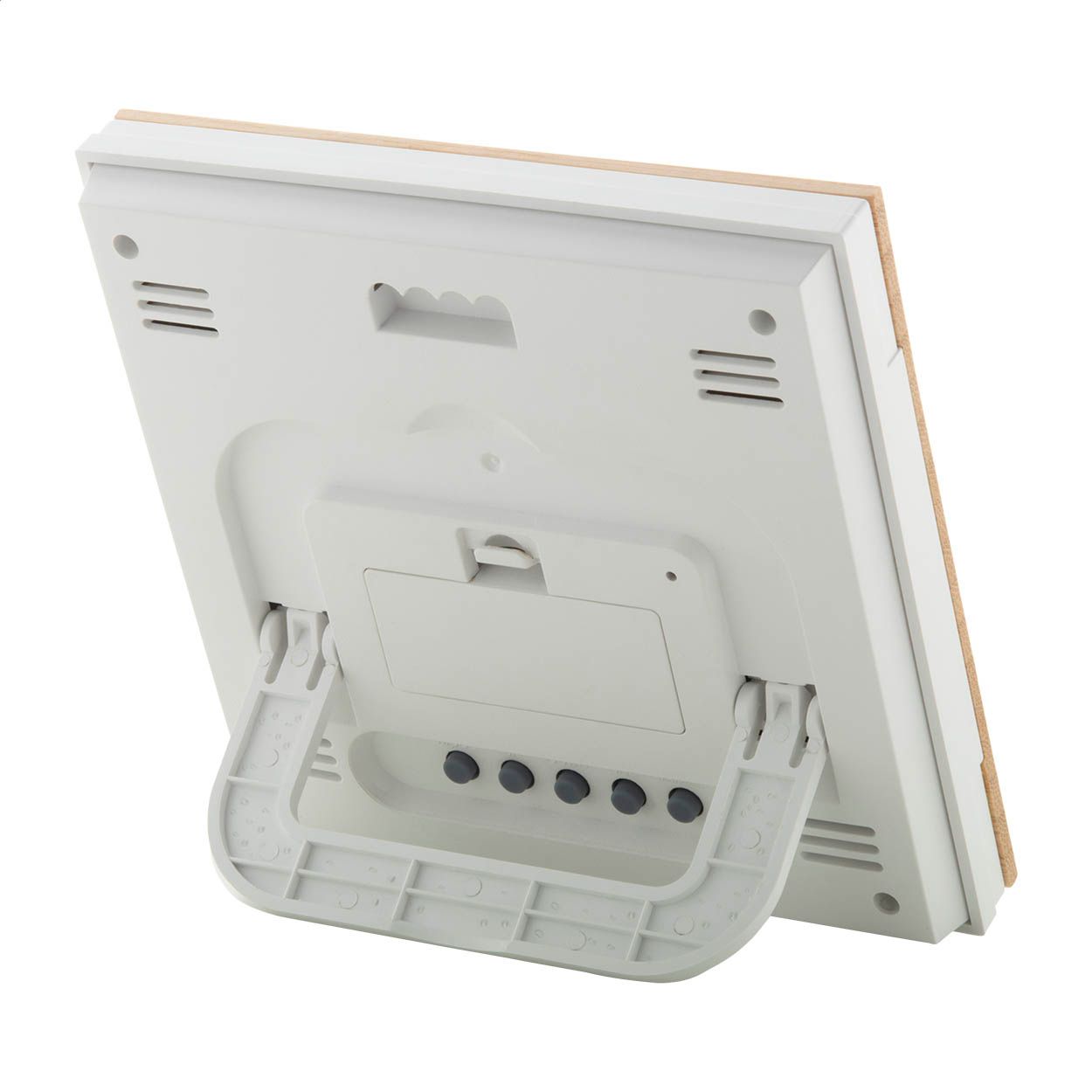 Boocast Wetterstation - natur-372
